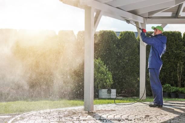 Best Soft Washing for Delicate Surfaces in Woodmoor, CO