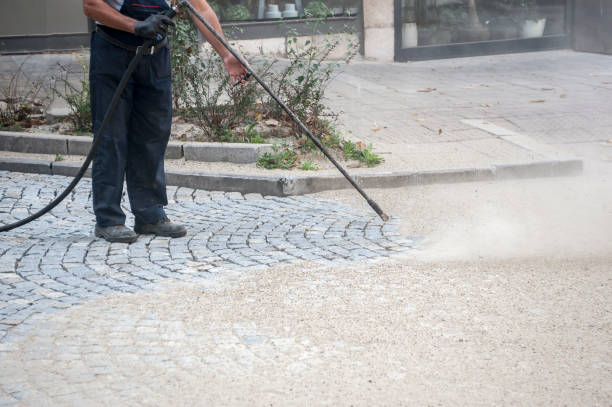Best Driveway Cleaning and Restoration in Woodmoor, CO
