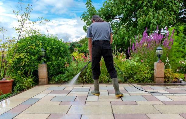 Best Fence Cleaning and Maintenance in Woodmoor, CO